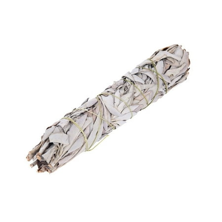 38 Inch Sage - Extra Large California White Sage, 8.5 Inches