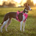 thumbnail image 3 of PoyPet Reflective Dog Harness No Pull Dog Vest Harness With Handle,No Choke Adjustable Soft Padded Pet Vest for Small to Large Dogs,Pink XL, 3 of 9