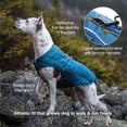 thumbnail image 3 of Kurgo Loft Dog Jacket, Chili Red/Charcoal, Large | Reversible Dog Coat, Great for Cold Weather, Water-Resistant, Lightweight, Reflective Trim, 2-Way Zipper to Access Harness, 3 of 8