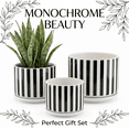 thumbnail image 3 of BUYMAX 4+5+6 inch Set of 3 Ceramic Planters, Black & White Vertical Stripes Pots with Drainage Hole, 3 of 10