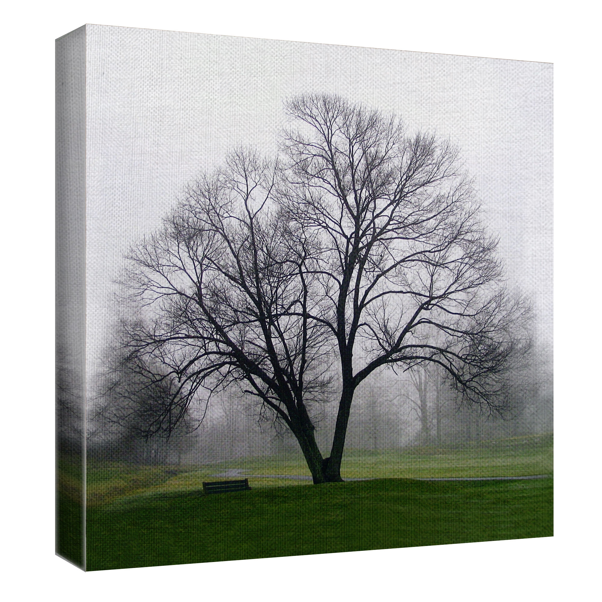 Masterpiece Art Gallery Tree Solo By Mary Campanga Canvas Art Print 24" x 24"