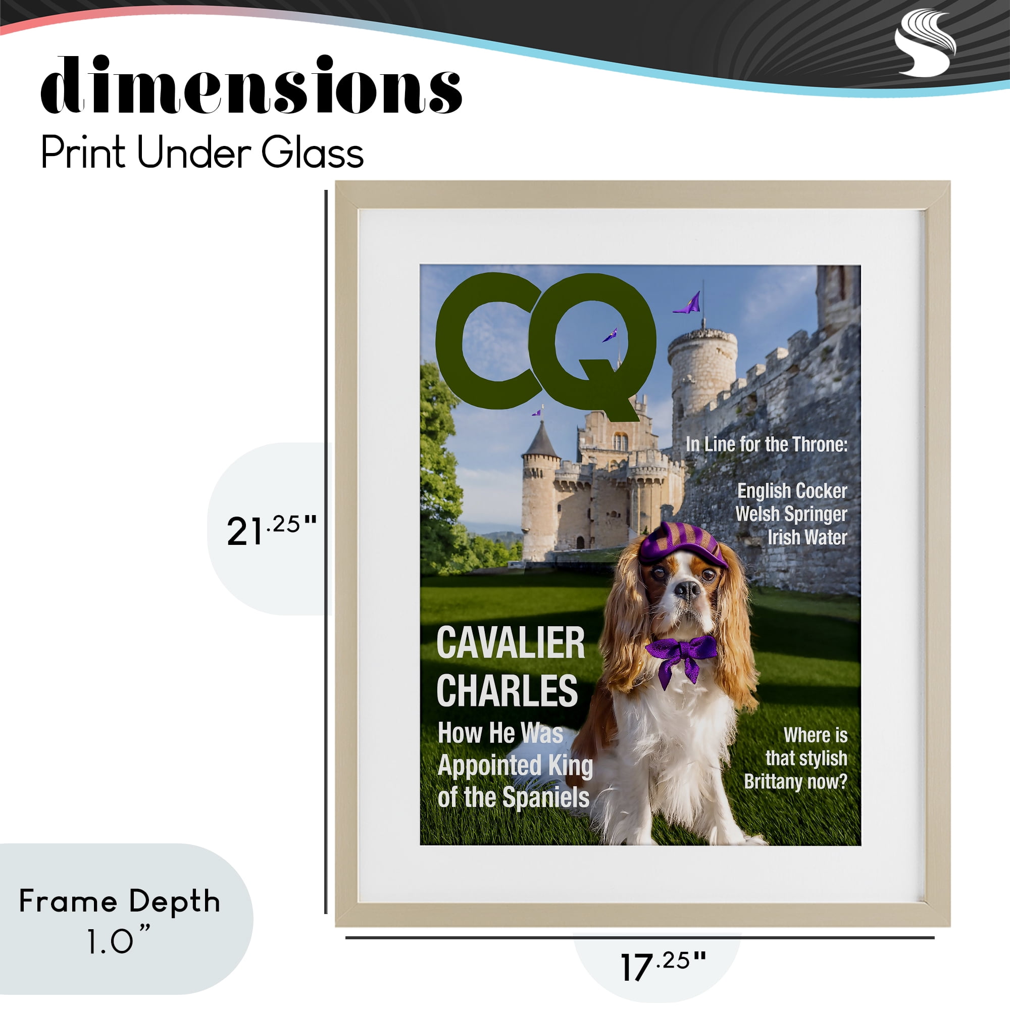 Stupell Industries Royal Cavalier Magazine Birch Framed Print Under Glass, design by Grotto Studios