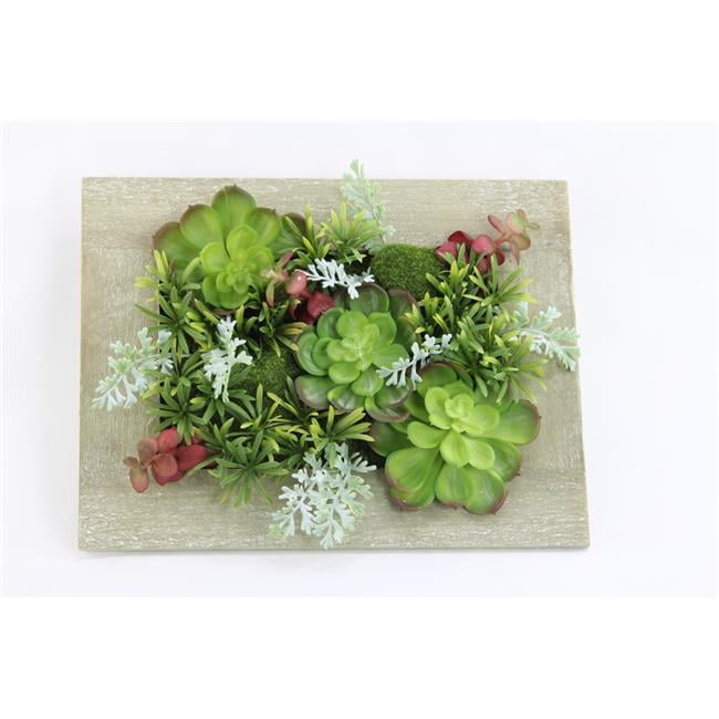 Admired By Nature Gg7692 Natural Artificial Succulent Plants Moss Admired By Nature Gg7692 Natural Artificial Succulent Plants Moss Wall Hanging With Rustic Wooden Picture Frame