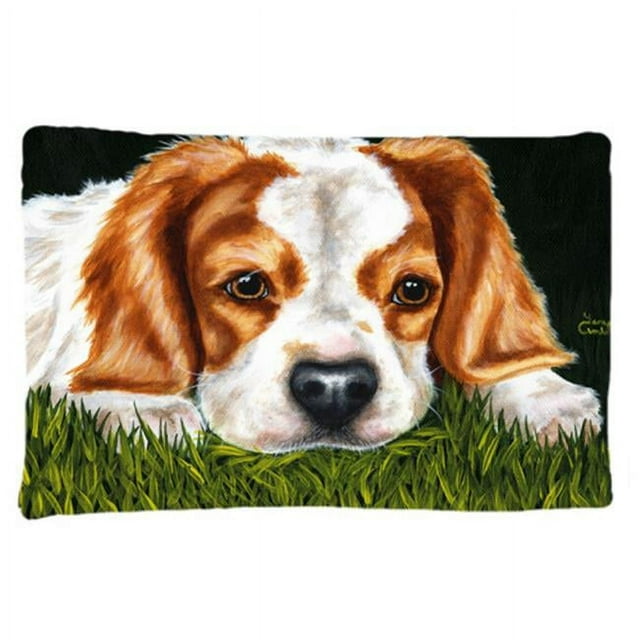 Carolines Treasures AMB1395PILLOWCASE Cavalier Spaniel Taie d'Oreiller Standard en Tissu
