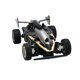 thumbnail image 1 of Sistema De Conducción De Coches De Carreras Stunt Racing Control Remoto Modelo De Coche Vehículo De Juguete Para Regalo De Niño Minnieouse FN003427-02, 1 of 6