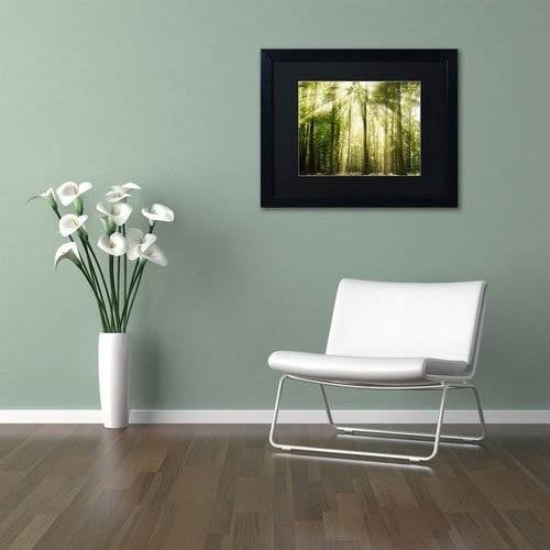 Trademark Fine Art 'Sunrays Through Treetops' Canvas Art by PIPA Fine Art, Black Matte, Black Frame