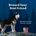 thumbnail image 5 of Blue Buffalo Wilderness Trail Treats Wild Bits Training Treats for Dogs, Salmon, 10-oz., 5 of 10
