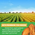 thumbnail image 6 of Fetcheroni Sweet Potato Dog Treats, Healthy Dog Treats Made in USA Only, Dehydrated Dog Treats, Sweet Potato Chews for Dogs, Vegetarian Dog Treats, Healthy Dog Treats for Large Dogs, 16oz, 6 of 6