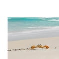 thumbnail image 3 of DOLITY Aquarium Landscape Poster Single Sided Tank Background Sticker XXL, 3 of 9