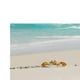 thumbnail image 3 of Póster de paisaje de acuario pegatina de fondo de tanque de peces de una cara XXL jinwen Etiqueta engomada del fondo del tanque de peces, 3 of 8