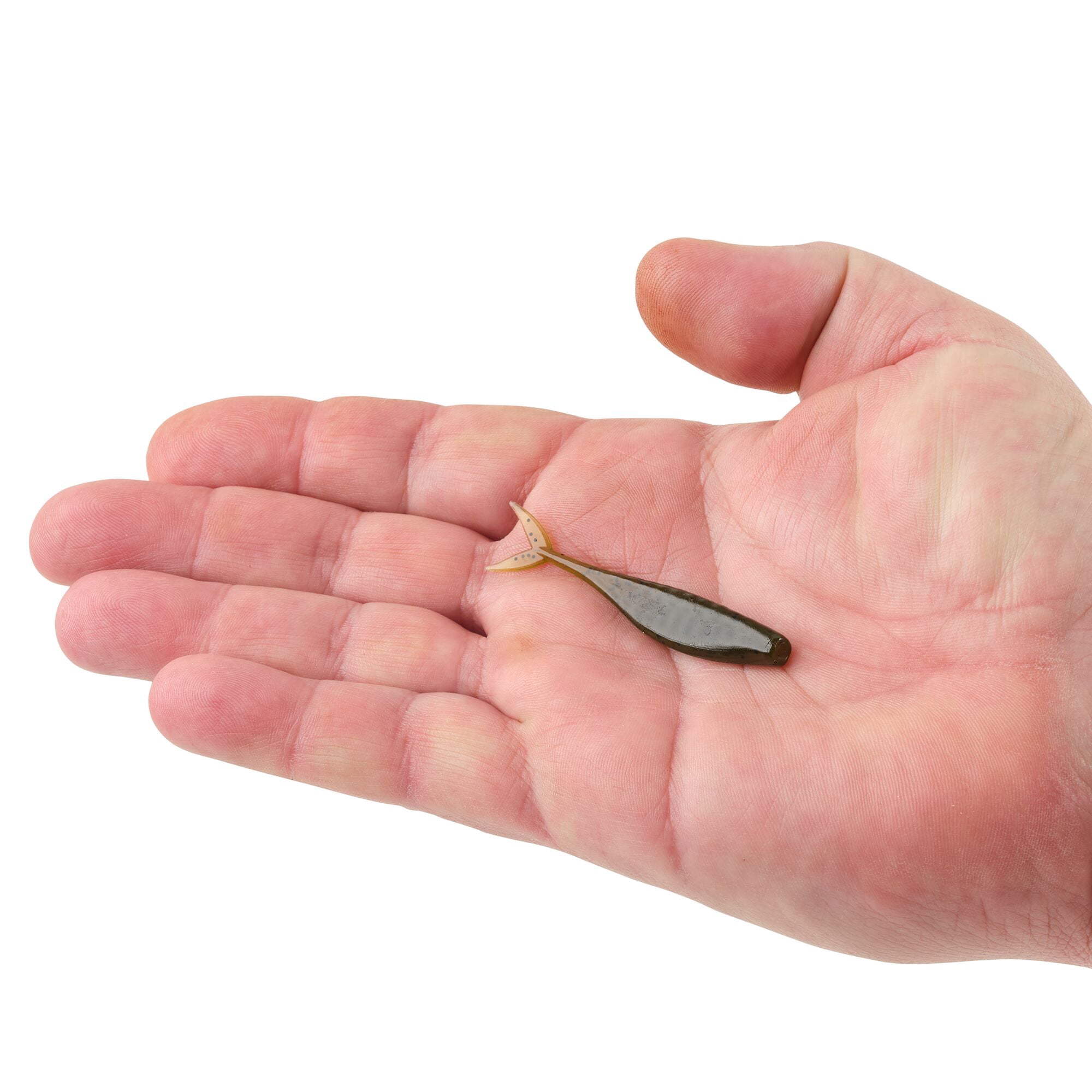 Berkley PowerBait® The Champ Minnow, 2.5 in, Minnows, Green Pumpkin (10 Count)