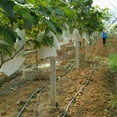 thumbnail image 4 of Walbest 50Pcs Fruit Protection Bags for Fruit Trees, Reusable Garden Insect Netting Bag with Drawstrings, Fruit Mesh Bags Protect Plants Tomato Apple Peach Trees from Bugs Birds, 4 of 7