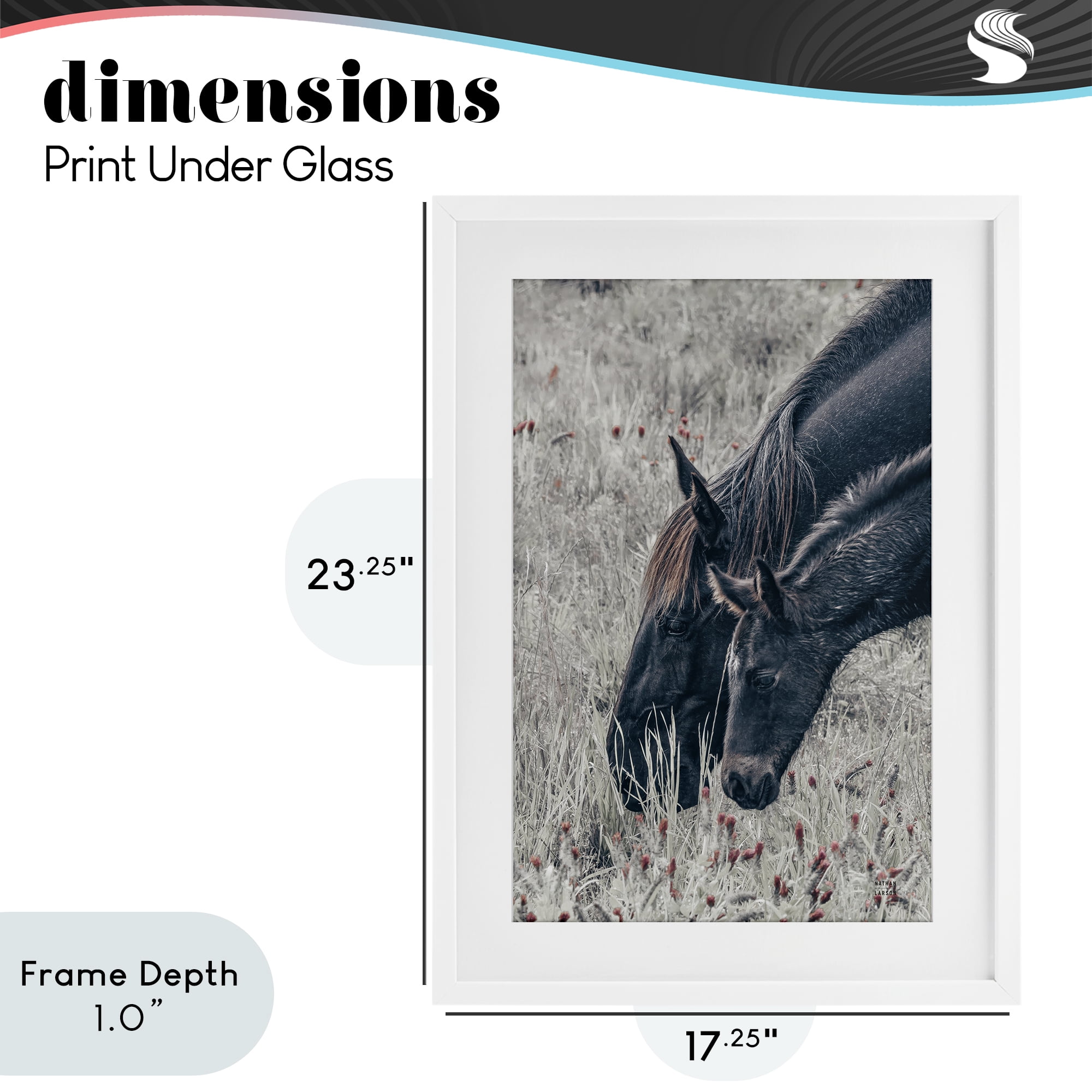Stupell Industries New Graze Horses in Meadow White Framed Print Under Glass, design by Nathan Larson