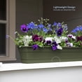 thumbnail image 3 of Bloem 24-in Wide Dura Cotta Resin Window Box Planter - Living Green, 3 of 6