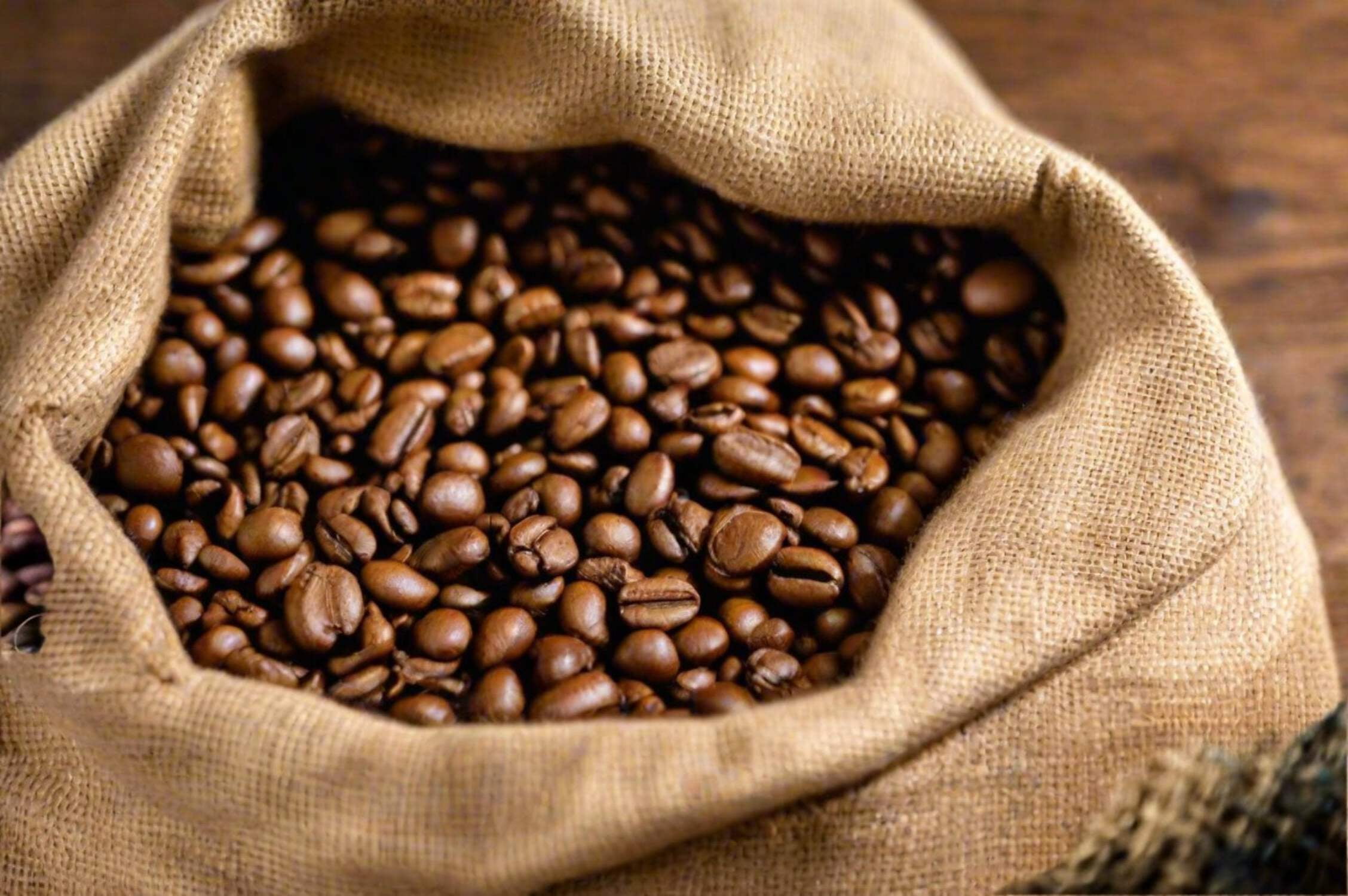 Robusta Premium Coffee | Pure Robusta | Dark Roast | High Caffeine | Low Acid | Fresh Roasted (12oz, Whole Bean)