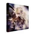 thumbnail image 2 of Trademark Fine Art 'Purple Dusk II' Canvas Art by Emily Robinson, 2 of 4