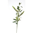 thumbnail image 1 of Distinctive Designs DW-215-GR Légumes Branches de Piment Chili Vert - Lot de 12, 1 of 1