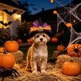 thumbnail image 6 of AuroraX Dog Halloween Costume Set Dog Costumes Halloween Small 3 Pcs Soft Stretchy Adjustable Lightweight Pet Halloween Costume National Dog Day, 6 of 6