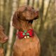 thumbnail image 4 of Pajarita para gatos, cuello de moda para fiestas, para cachorros pequeños, medianos y grandes, atuendo festivo para fiestas, disfraz, 4 of 5