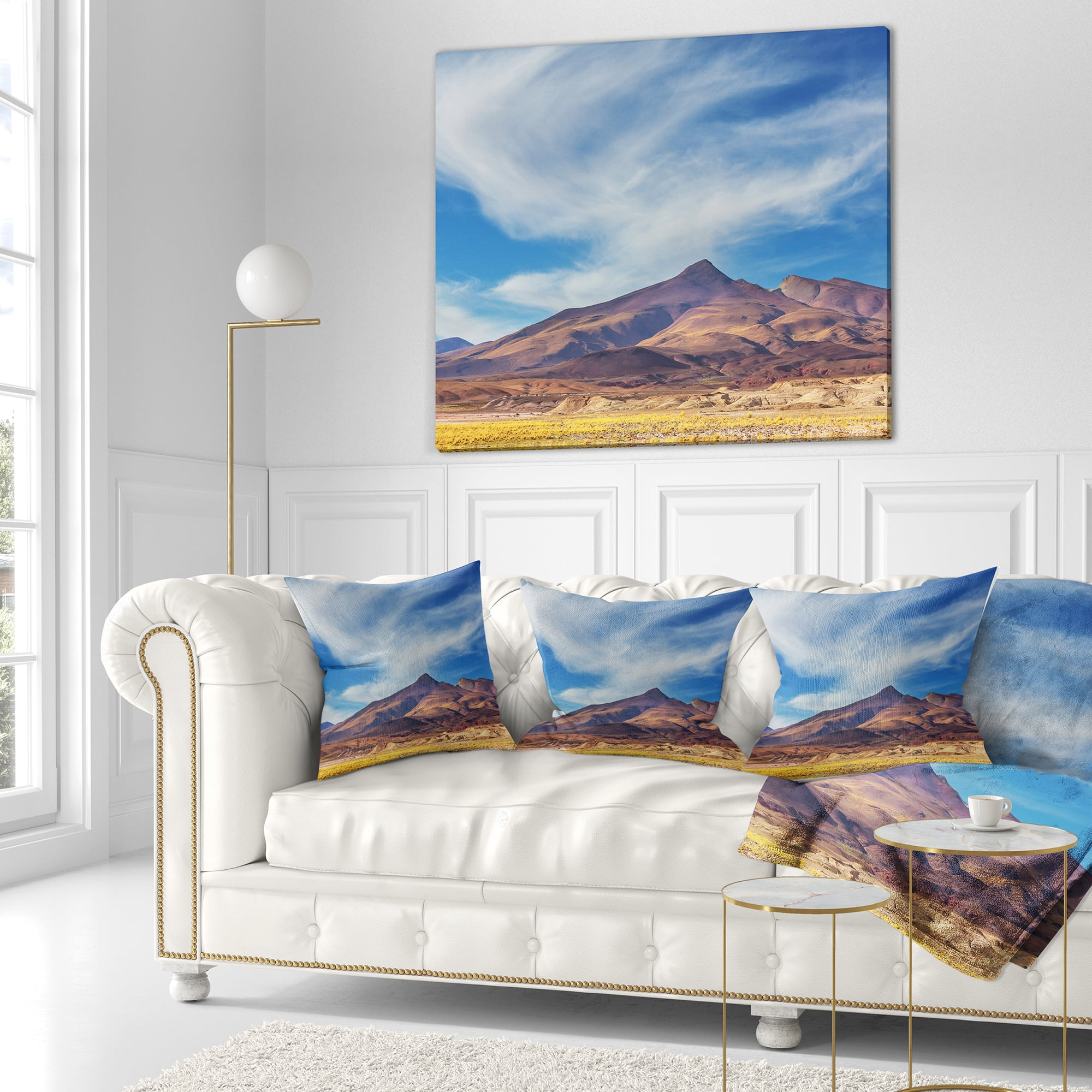 Designart Bright Argentina Mountain Region - African Landscape Printed Throw Pillow - 18x18