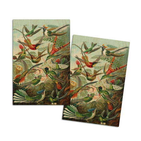 

Ernst Haeckel Trochilidae (4x6 Birch Wood Postcards 2-Pack Stationary Rustic Home Wall Decor)