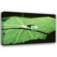 thumbnail image 1 of Bob Stefko 18x13 Gallery Wrapped Canvas Wall Art Titled - A Single Drop II, 1 of 4