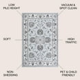 thumbnail image 3 of JONATHAN Y MODERN PERSIAN 4 x 6 Area Rug, Cherie French Cottage - Light Gray/Cream, MDP505C-4, 3 of 12