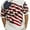 Benji-31, variant on Cotton Traders Allover Patriotic Men's Polo Shirt