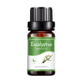 thumbnail image 1 of Aromatherapy Water Soluble Oil Aromatherapy Suitable For Humidifier 10ml, 1 of 6