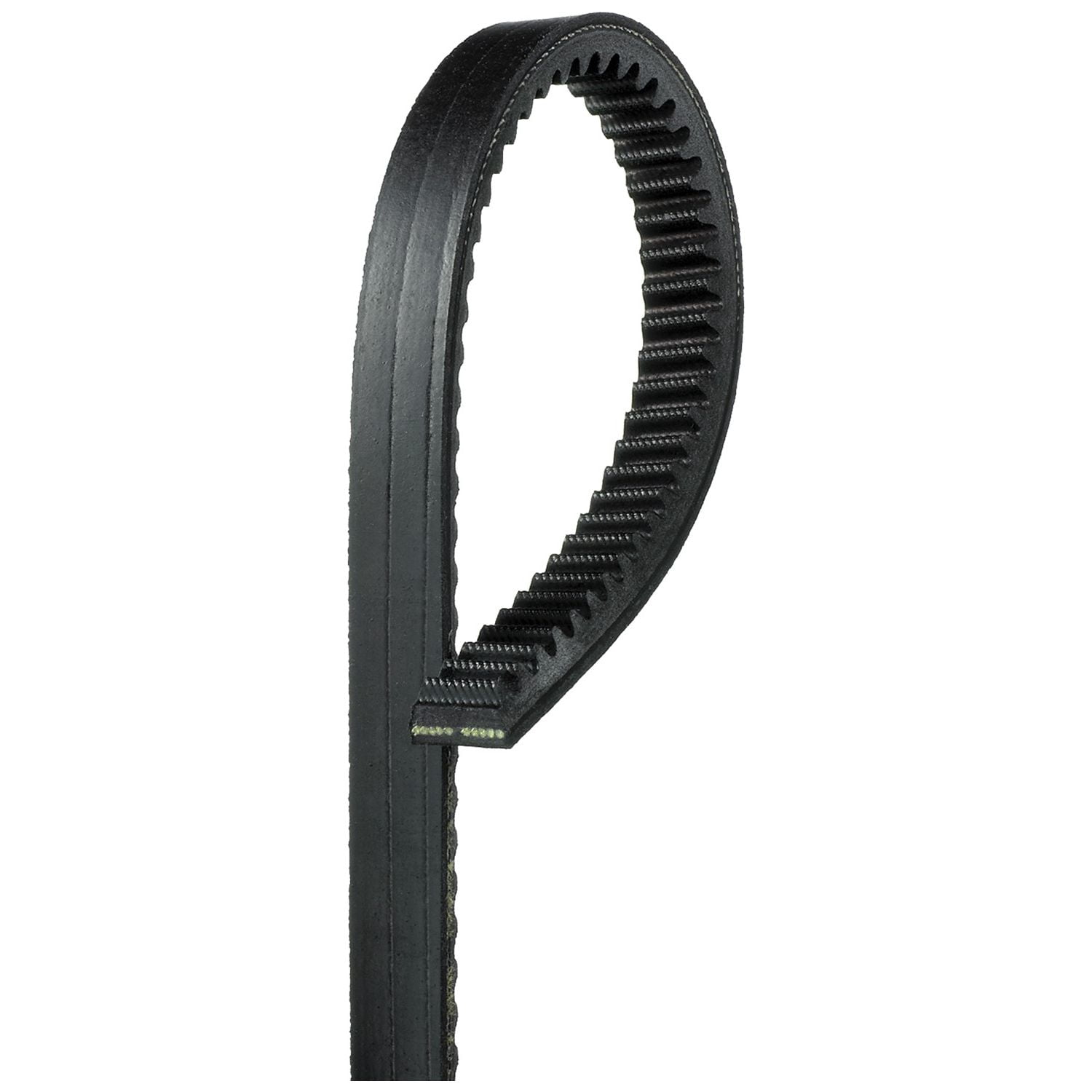 Accessory Drive Belt