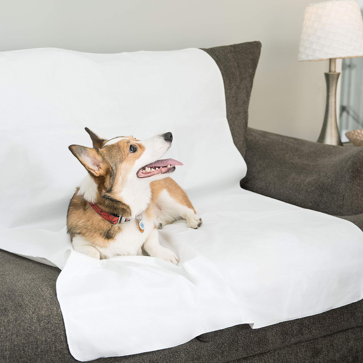 2 Pack DMI Premium Flannel and Waterproof Rubber Sheet Protector, Reusable Incontinence Bed Pads and Spill Protection, 36x54 Inches, Washable