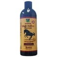 thumbnail image 1 of Black Stallion Premium Horsetail Shampoo * Fórmula nueva y mejorada *Black Stallion Premium Horsetail Shampoo1Lt Champú 50% biotina COLA DE CABALLO 1Lt, 1 of 5