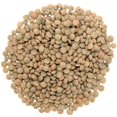 thumbnail image 3 of Rani Desi Masoor (Masur) Whole 400oz (25lbs) 11.36kg (aka. Pardina Spanish / American Brown Lentils Whole) Bulk Box ~ All Natural | Vegan | Gluten Friendly | Product of USA, 3 of 9
