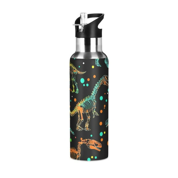 ALAZA Cartoon Dinosaur Water Bottle Insulated Flask Stainless Steel Straw Lid 20 oz