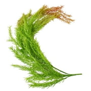 BallsFHK Simulation Garland Door Decoration Ring Small Thorn Door Leaf Wreath Wedding Decoration