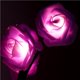 thumbnail image 4 of Yuarrent Lámpara Led con forma de flor rosa, puerto USB y luces de LED decorativas alimentadas por para fiesta, boda, Navidad Iluminación navideña No.2 Yuarrent HA027351-02, 4 of 6