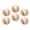 M042, variant on Glass Refrigerator Magnet 6Pcs Magnetic Fridge Sticker,Decor for Kitchen,Whiteboard,Cabinet,Araffe Donut With Pink Frosting And Sprinkles