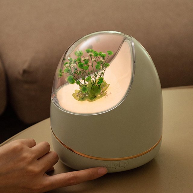 Humidificador difusor de aceite esencial Perfecl 400ml decoración para hogar lámpara de noche apagado automático nieb Verde