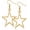gold, variant on Silver Star Earrings, Simple Hollow Star Hoop Earrings Star Drop Dangle Earring for Party Wedding Daily Use