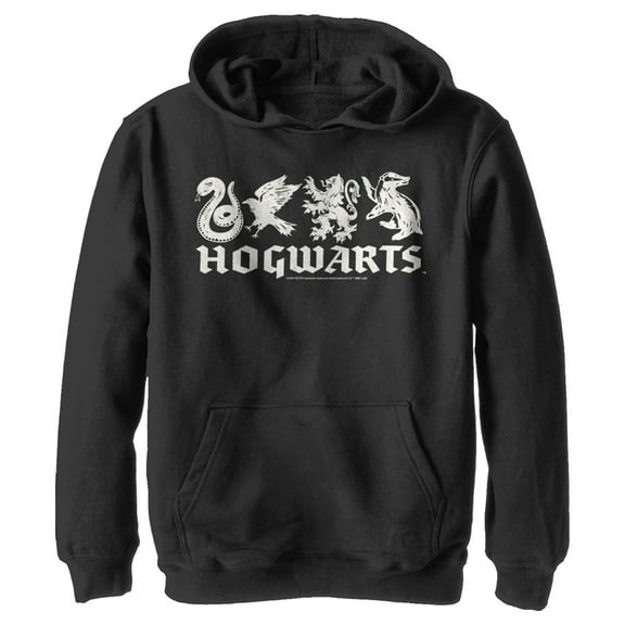 Boy's Harry Potter House Mascots  Pull Over Hoodie Black Large