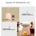 thumbnail image 4 of Water Soluble Aromatherapy Essential Oil, Natural No Additive Fragrance Oil for Humidifier Car Diffuser, Multi Scent Pure Plant Extract Aroma Oil Holiday Gift for Family Friends Colleagues, 4 of 6