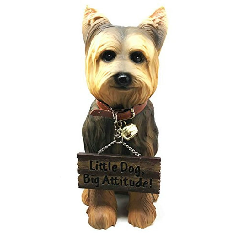 Pedigree deals yorkshire terrier