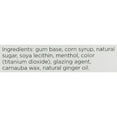 thumbnail image 3 of Anti Nausea Ginger Chewing Gum - 24 Each, 3 of 4