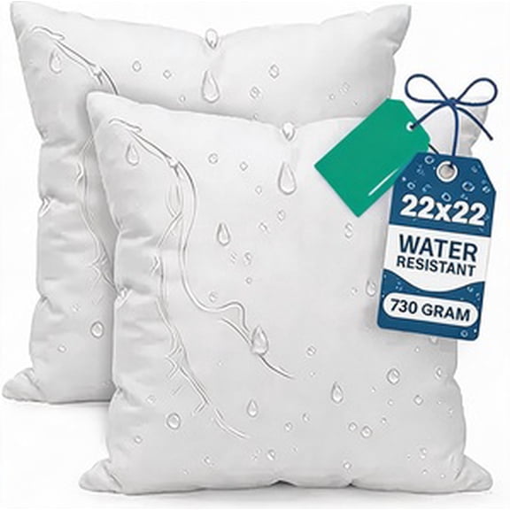 22x22 Inch Water Resistant Outdoor Throw Pillows Pack of 2 White