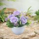 thumbnail image 5 of Ramo decorativo de flores secas artificiales,simulación de flores,decoración de interiores,decoración floral de plástico para sala de estar, 5 of 6