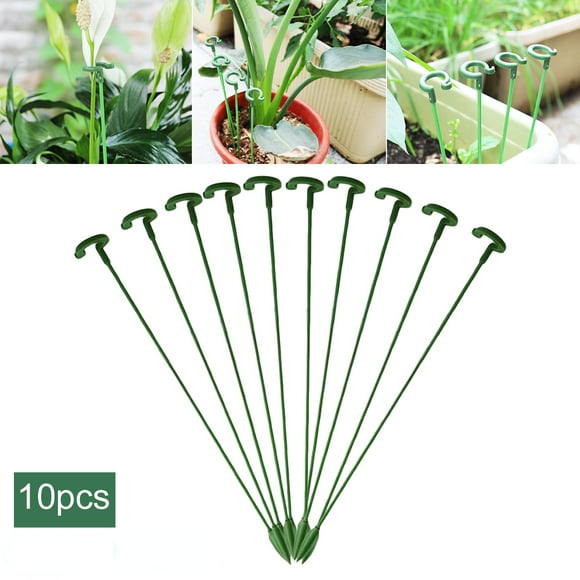 Flower Stem Holder