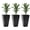 Black, variant on Demi Bonn 3-Piece Tall Planters with Drainage, 28" Outdoor Plant Pots, Indoor Pottery for Porch & Patio, Deck Planting, Gray