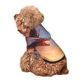 thumbnail image 5 of Haiem Red And Blue Fire Cloud Dragon for Winter Dog Hoodie Sweatshirts with Pockets Warm Dog Clothes for Small Dogs Chihuahua-XX-Large, 5 of 7