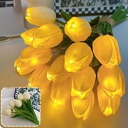 【Stay in Spring】Couple Dreamlike Tulip Lamp Photo Prop Night Light ROMANTIC A4D4