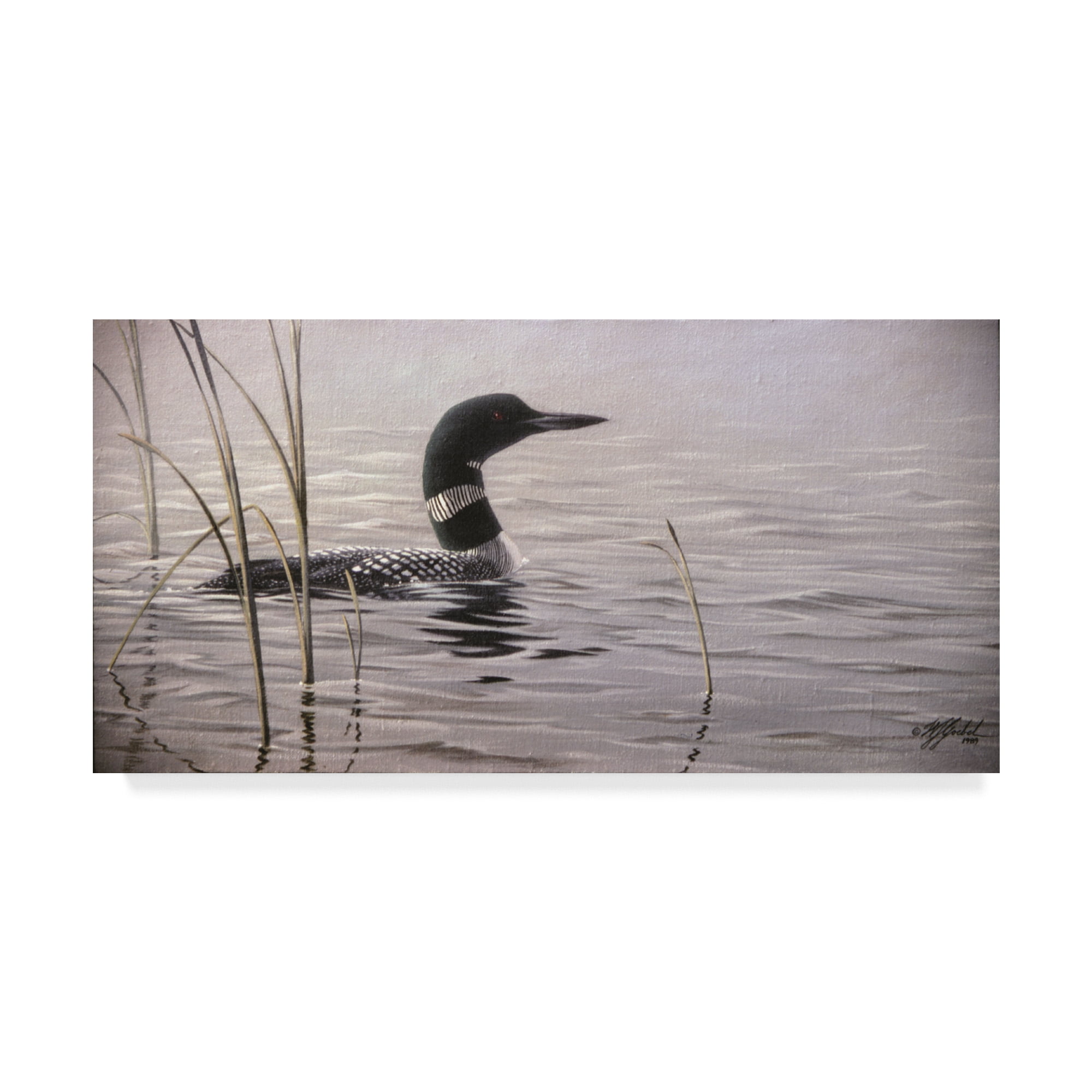 Trademark Fine Art 'Emerging Loon' Canvas Art by Wilhelm Goebel